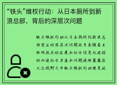 “铁头”维权行动：从日本厕所到新浪总部，背后的深层次问题