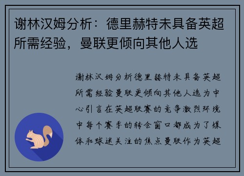 谢林汉姆分析：德里赫特未具备英超所需经验，曼联更倾向其他人选