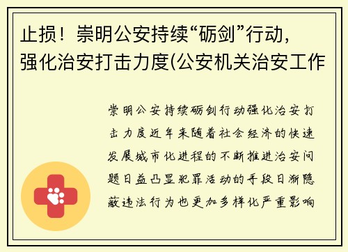 止损！崇明公安持续“砺剑”行动，强化治安打击力度(公安机关治安工作亮点)