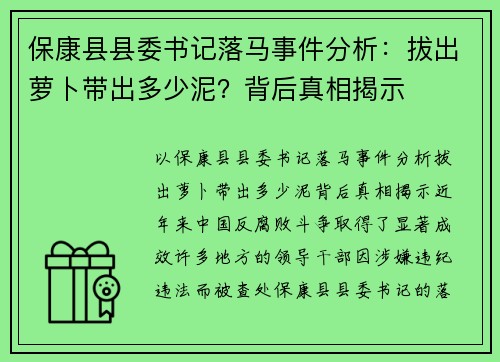 保康县县委书记落马事件分析：拔出萝卜带出多少泥？背后真相揭示